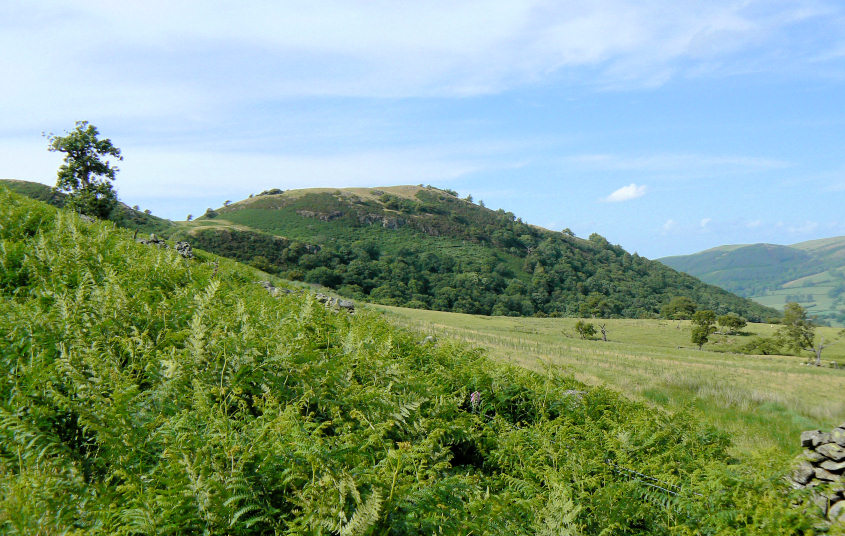 Broadmoor Hill Broadmoor Hill